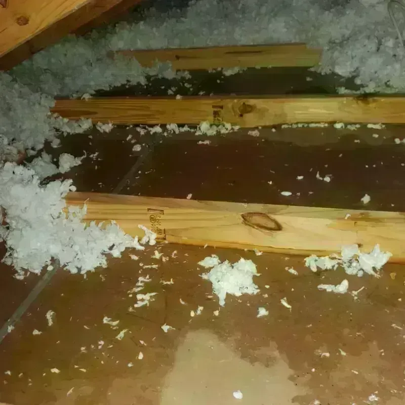 Attic Water Damage in Botkins, OH